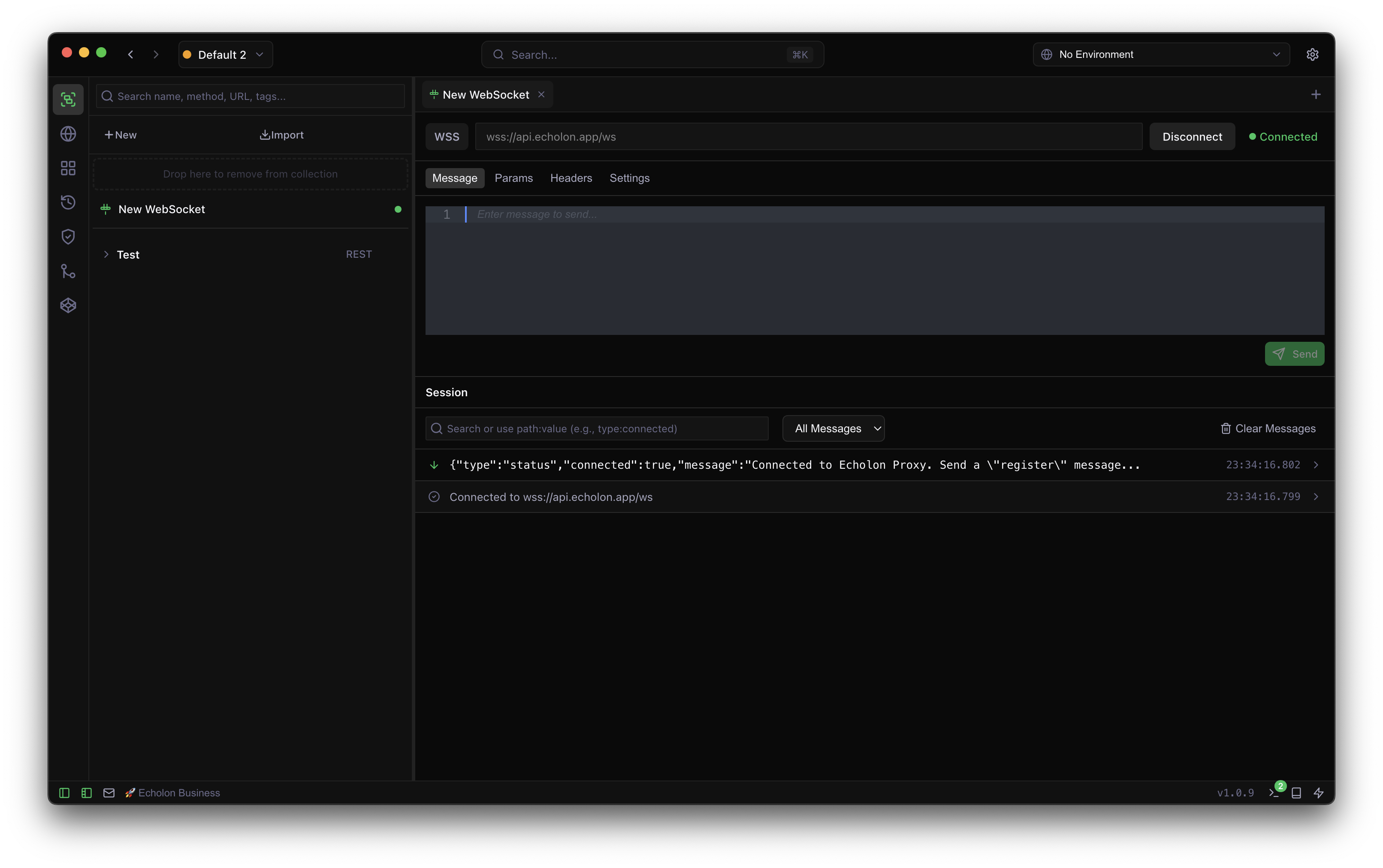 WebSocket connecting
